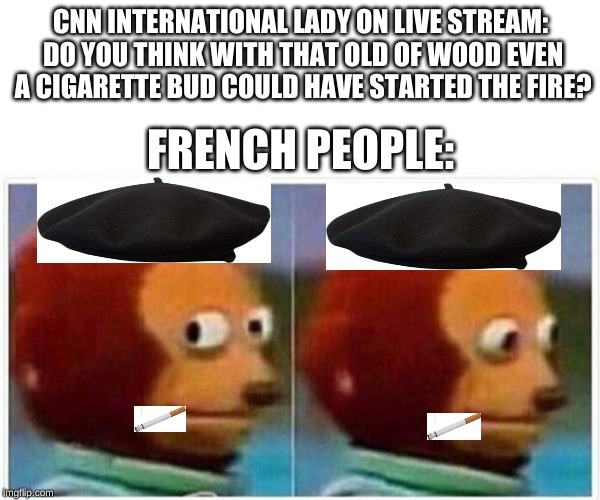 Monkey Puppet | CNN INTERNATIONAL LADY ON LIVE STREAM: DO YOU THINK WITH THAT OLD OF WOOD EVEN A CIGARETTE BUD COULD HAVE STARTED THE FIRE? FRENCH PEOPLE: | image tagged in monkey puppet | made w/ Imgflip meme maker