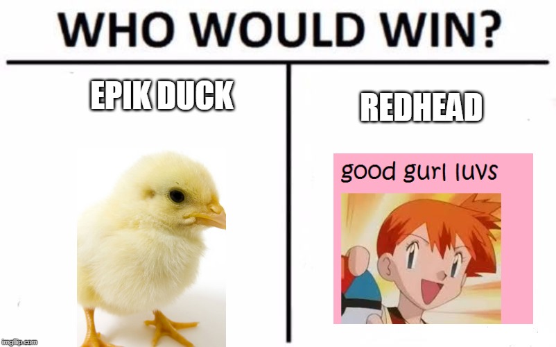 Who Would Win? Meme | EPIK DUCK; REDHEAD | image tagged in memes,who would win | made w/ Imgflip meme maker