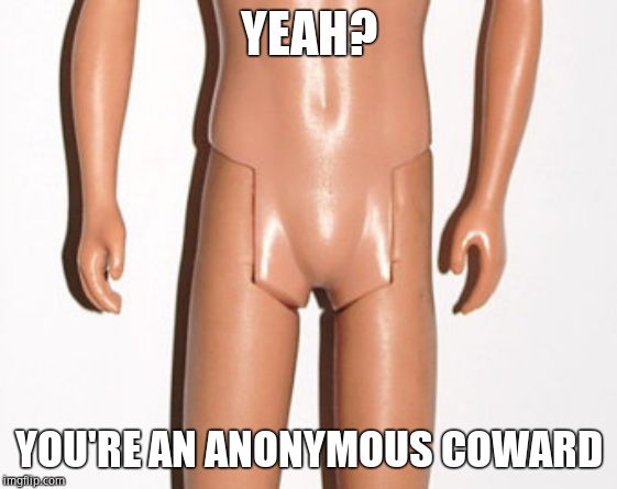 no balls | YEAH? YOU'RE AN ANONYMOUS COWARD | image tagged in no balls | made w/ Imgflip meme maker