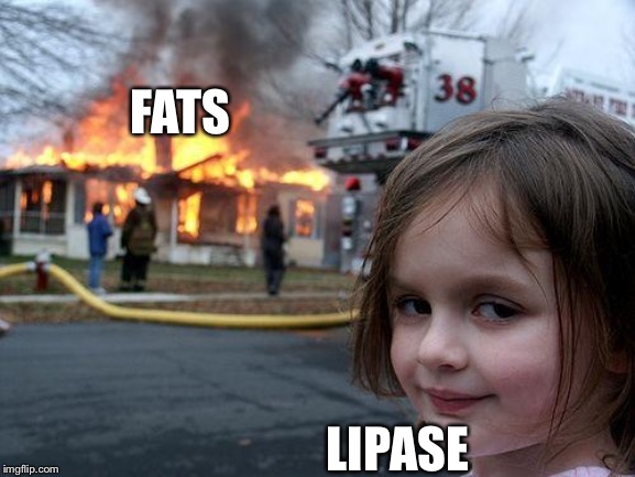 Ezymes at work | FATS; LIPASE | image tagged in memes,disaster girl,biology,funny,gaming,fire | made w/ Imgflip meme maker