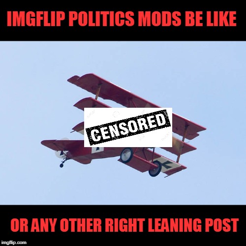 I offered to help | IMGFLIP POLITICS MODS BE LIKE; OR ANY OTHER RIGHT LEANING POST | image tagged in politics,redbarron,biased,hypocrisy,pboy gets approved | made w/ Imgflip meme maker