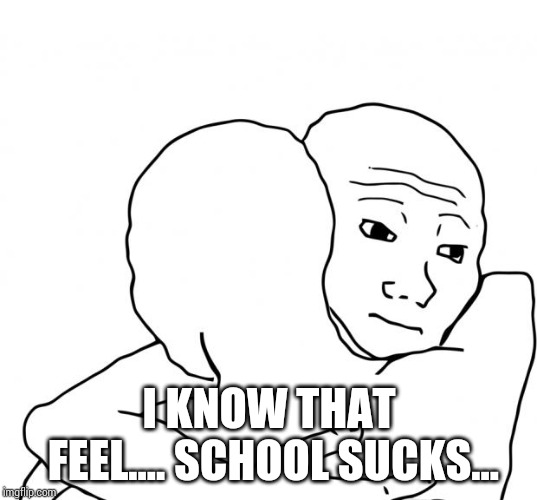 I Know That Feel Bro Meme | I KNOW THAT FEEL.... SCHOOL SUCKS... | image tagged in memes,i know that feel bro | made w/ Imgflip meme maker
