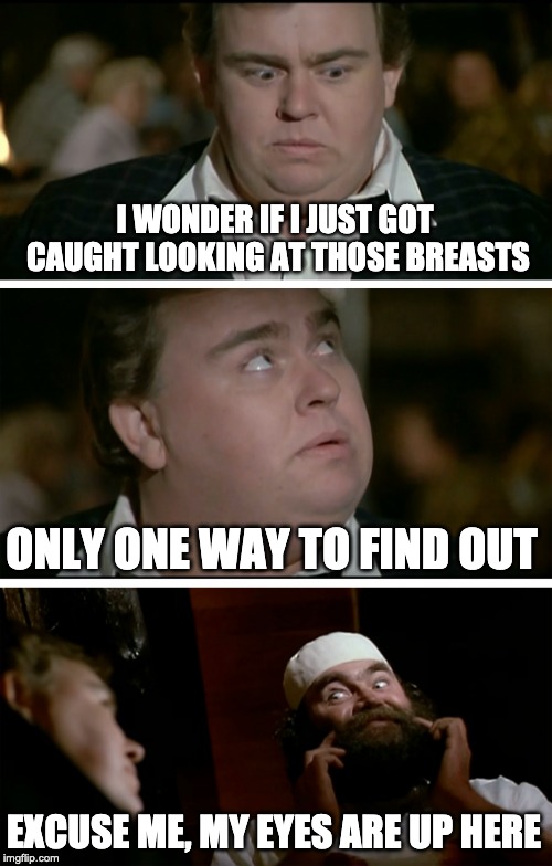 Caught Looking | I WONDER IF I JUST GOT CAUGHT LOOKING AT THOSE BREASTS; ONLY ONE WAY TO FIND OUT; EXCUSE ME, MY EYES ARE UP HERE | image tagged in wondering,great outdoors,funny | made w/ Imgflip meme maker