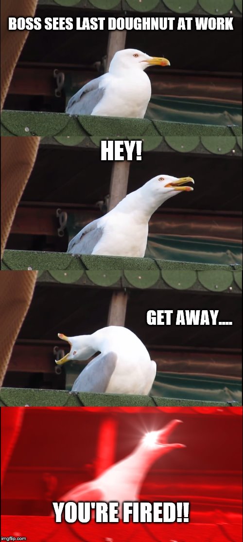 Inhaling Seagull Meme | BOSS SEES LAST DOUGHNUT AT WORK; HEY! GET AWAY.... YOU'RE FIRED!! | image tagged in memes,inhaling seagull | made w/ Imgflip meme maker