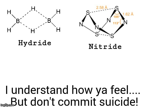 Hydride, Nitride, | I understand how ya feel.... But don't commit suicide! | image tagged in hydride nitride | made w/ Imgflip meme maker