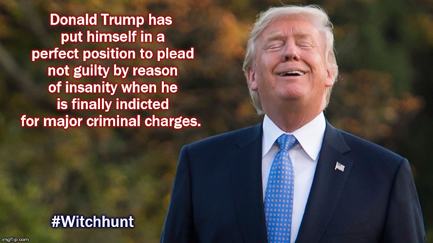 Donald Trump has put himself in a perfect position to plead not guilty by reason of insanity when he is finally indicted for major criminal charges. #Witchhunt | image tagged in mega,donald trump,potus,witch hunt,impeach trump,impeach | made w/ Imgflip meme maker