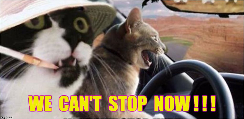 WE  CAN'T  STOP  NOW ! ! ! | made w/ Imgflip meme maker