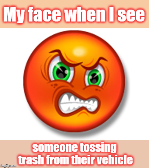 My face when I see someone tossing trash from their vehicle | made w/ Imgflip meme maker