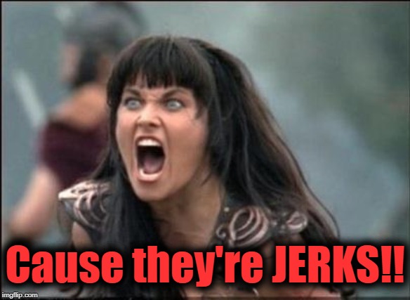 Angry Xena | Cause they're JERKS!! | image tagged in angry xena | made w/ Imgflip meme maker