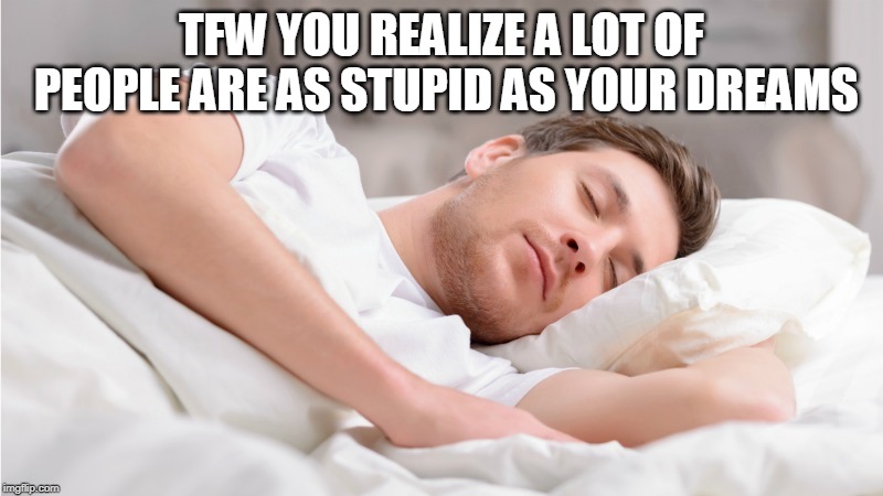 trolls | TFW YOU REALIZE A LOT OF PEOPLE ARE AS STUPID AS YOUR DREAMS | image tagged in trolls,asleep | made w/ Imgflip meme maker