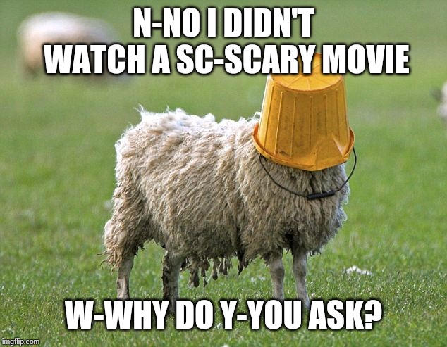 stupid sheep | N-NO I DIDN'T WATCH A SC-SCARY MOVIE; W-WHY DO Y-YOU ASK? | image tagged in stupid sheep,kittycatmeow614,scary movie,ahhhhh,oh no,oh wow are you actually reading these tags | made w/ Imgflip meme maker