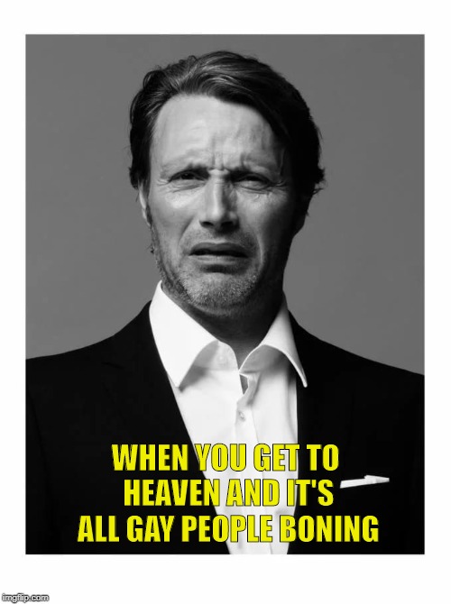 Mads Mikkelsen Impressions | WHEN YOU GET TO HEAVEN AND IT'S ALL GAY PEOPLE BONING | image tagged in funny,memes,funny memes,lol,gay jokes | made w/ Imgflip meme maker