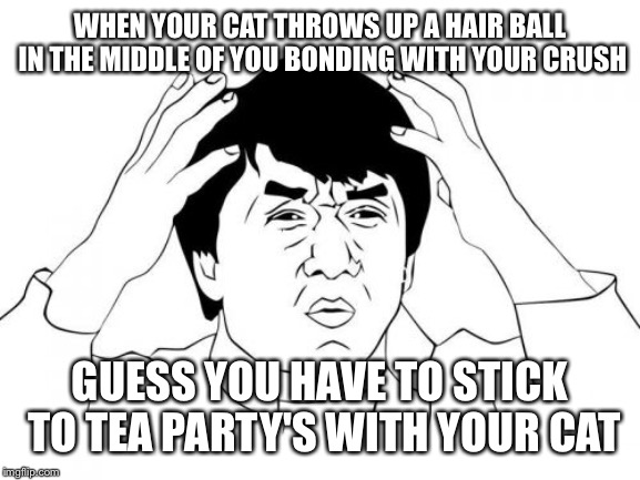 Jackie Chan WTF | WHEN YOUR CAT THROWS UP A HAIR BALL IN THE MIDDLE OF YOU BONDING WITH YOUR CRUSH; GUESS YOU HAVE TO STICK TO TEA PARTY'S WITH YOUR CAT | image tagged in memes,jackie chan wtf | made w/ Imgflip meme maker