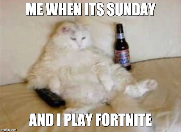 Me When Its Sunday | ME WHEN ITS SUNDAY; AND I PLAY FORTNITE | image tagged in gaming,couch,cats,fortnite,sunday | made w/ Imgflip meme maker