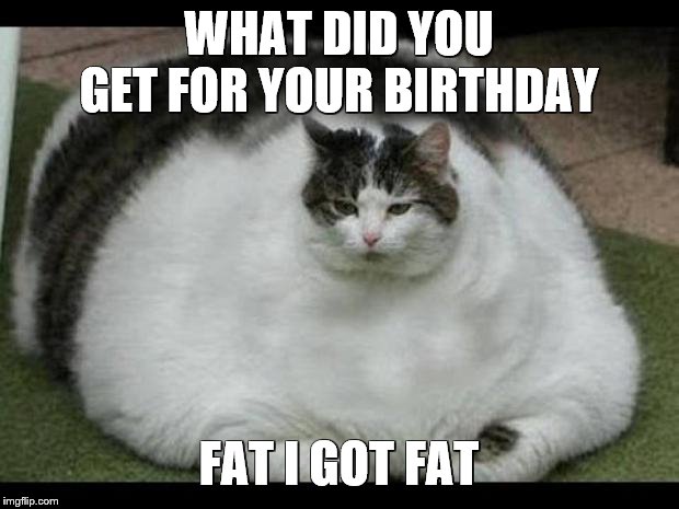 fat cat 2 | WHAT DID YOU GET FOR YOUR BIRTHDAY; FAT I GOT FAT | image tagged in fat cat 2,cat,grumpy cat birthday,fat | made w/ Imgflip meme maker