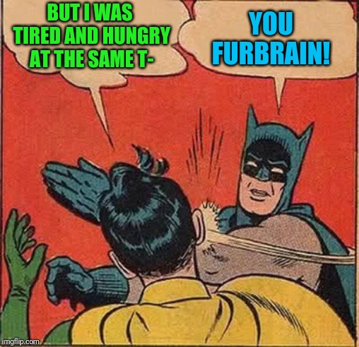 Batman Slapping Robin Meme | BUT I WAS TIRED AND HUNGRY AT THE SAME T- YOU FURBRAIN! | image tagged in memes,batman slapping robin | made w/ Imgflip meme maker