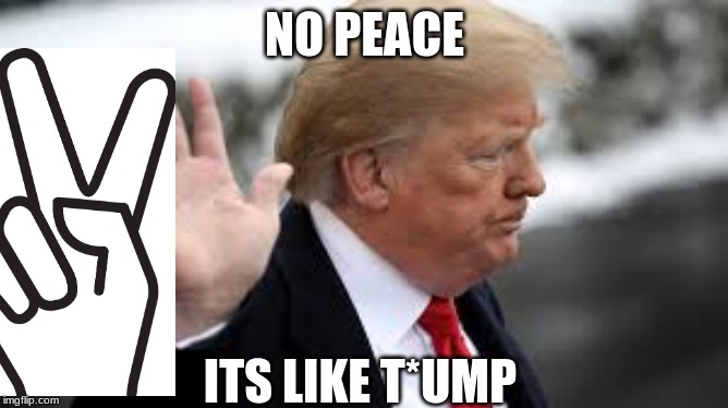 trump hats peace | NO PEACE; ITS LIKE T*UMP | image tagged in politics | made w/ Imgflip meme maker