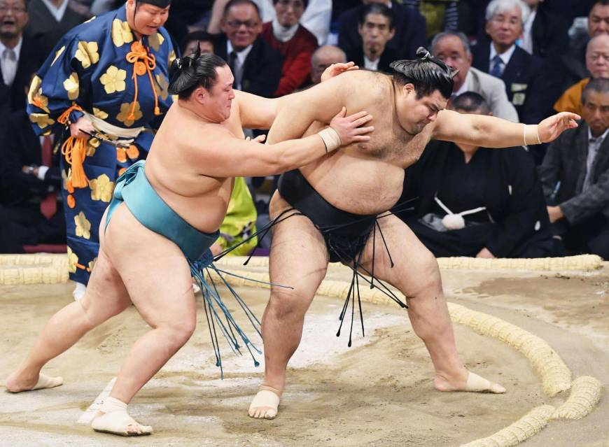 sumo Blank Meme Template