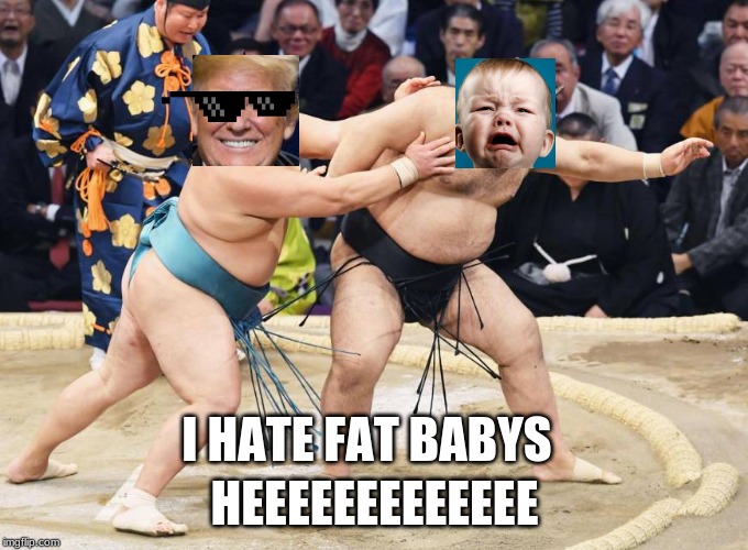 fight with a baby | HEEEEEEEEEEEEE; I HATE FAT BABYS | image tagged in sumo | made w/ Imgflip meme maker