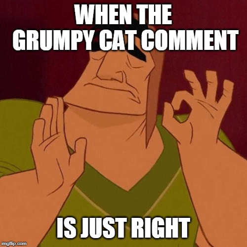 When X just right | WHEN THE GRUMPY CAT COMMENT IS JUST RIGHT | image tagged in when x just right | made w/ Imgflip meme maker