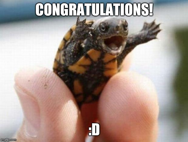 happy baby turtle | CONGRATULATIONS! :D | image tagged in happy baby turtle | made w/ Imgflip meme maker