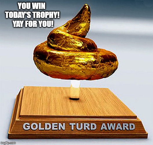 golden turd award | YOU WIN TODAY'S TROPHY!  YAY FOR YOU! | image tagged in golden turd award | made w/ Imgflip meme maker