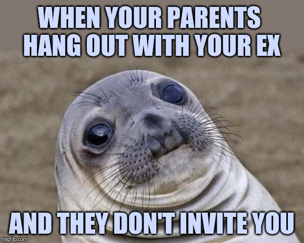 Awkward Moment Sealion | WHEN YOUR PARENTS HANG OUT WITH YOUR EX; AND THEY DON'T INVITE YOU | image tagged in memes,awkward moment sealion | made w/ Imgflip meme maker