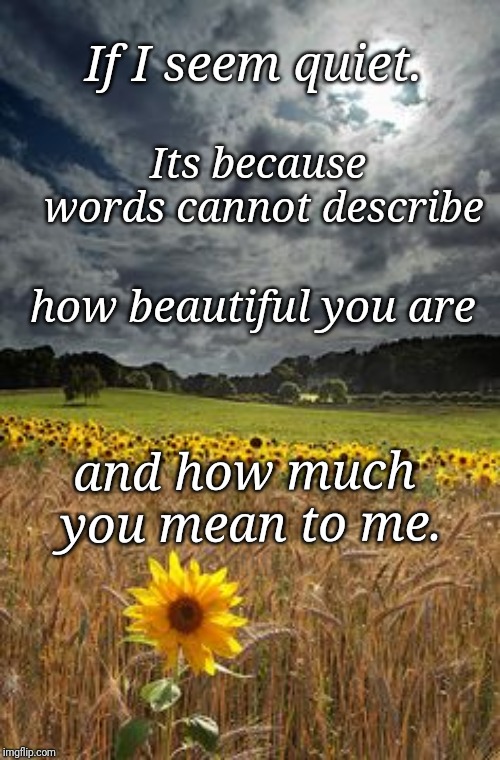 You're beautiful | If I seem quiet. Its because words cannot describe; how beautiful you are; and how much you mean to me. | image tagged in beautiful | made w/ Imgflip meme maker