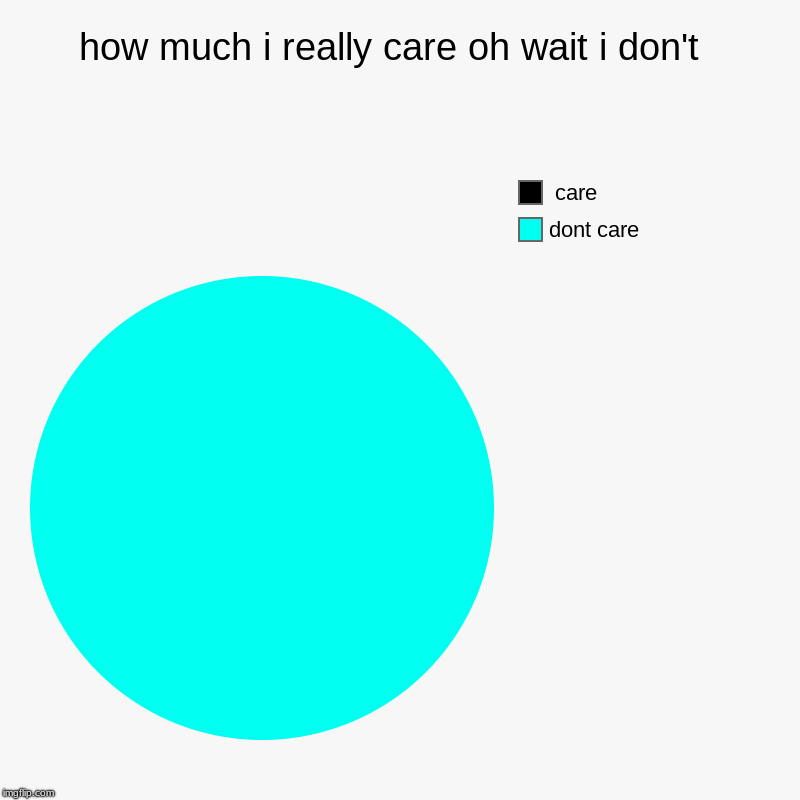 how much i really care oh wait i don't  | dont care,  care | image tagged in charts,pie charts | made w/ Imgflip chart maker
