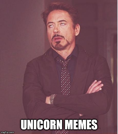 Face You Make Robert Downey Jr Meme | UNICORN MEMES | image tagged in memes,face you make robert downey jr | made w/ Imgflip meme maker