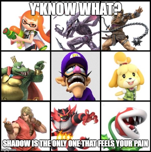 Smash Bros Ultimate Not You | Y'KNOW WHAT? SHADOW IS THE ONLY ONE THAT FEELS YOUR PAIN | image tagged in smash bros ultimate not you | made w/ Imgflip meme maker
