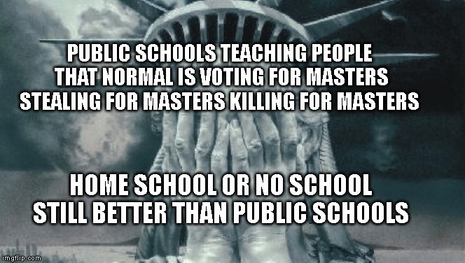 Statue of Liberty Crying | PUBLIC SCHOOLS TEACHING PEOPLE THAT NORMAL IS VOTING FOR MASTERS STEALING FOR MASTERS KILLING FOR MASTERS; HOME SCHOOL OR NO SCHOOL STILL BETTER THAN PUBLIC SCHOOLS | image tagged in statue of liberty crying | made w/ Imgflip meme maker