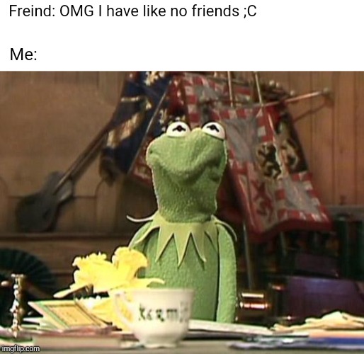 Annoyed Kermit | Freind: OMG I have like no friends ;C; Me: | image tagged in annoyed kermit | made w/ Imgflip meme maker