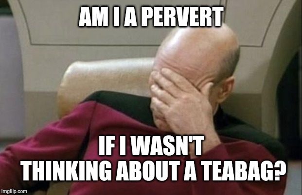 Captain Picard Facepalm Meme | AM I A PERVERT IF I WASN'T THINKING ABOUT A TEABAG? | image tagged in memes,captain picard facepalm | made w/ Imgflip meme maker