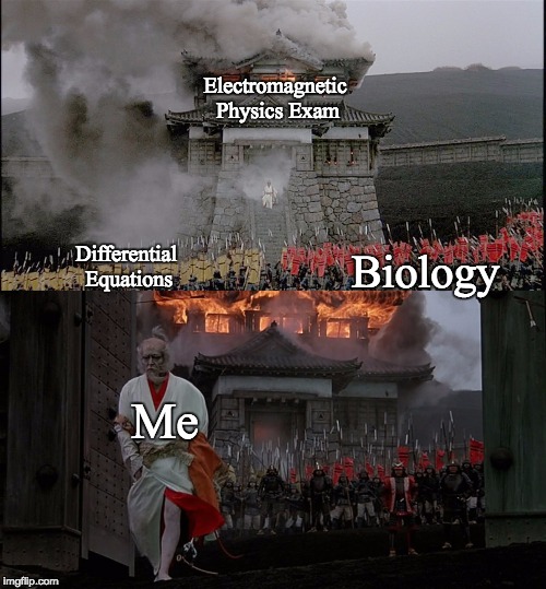 Giving up is always an option | Electromagnetic Physics Exam; Differential Equations; Biology; Me | image tagged in ran,kurosawa,school | made w/ Imgflip meme maker