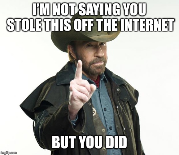 I’M NOT SAYING YOU STOLE THIS OFF THE INTERNET BUT YOU DID | image tagged in memes,chuck norris finger,chuck norris | made w/ Imgflip meme maker