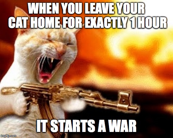 machine gun cat | WHEN YOU LEAVE YOUR CAT HOME FOR EXACTLY 1 HOUR; IT STARTS A WAR | image tagged in machine gun cat | made w/ Imgflip meme maker