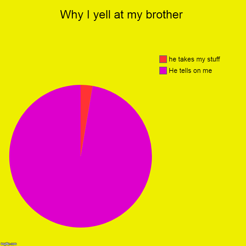 Why I yell at my brother | He tells on me, he takes my stuff | image tagged in charts,pie charts | made w/ Imgflip chart maker