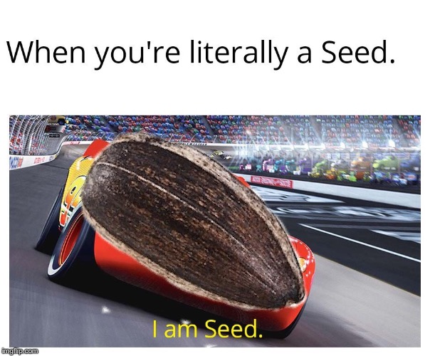 I am seed | image tagged in i am speed,seed,pizza time,tobey maguire,yeet,i want to die | made w/ Imgflip meme maker