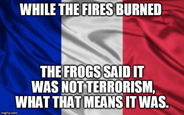 french flag | WHILE THE FIRES BURNED; THE FROGS SAID IT WAS NOT TERRORISM, WHAT THAT MEANS IT WAS. | image tagged in french flag | made w/ Imgflip meme maker