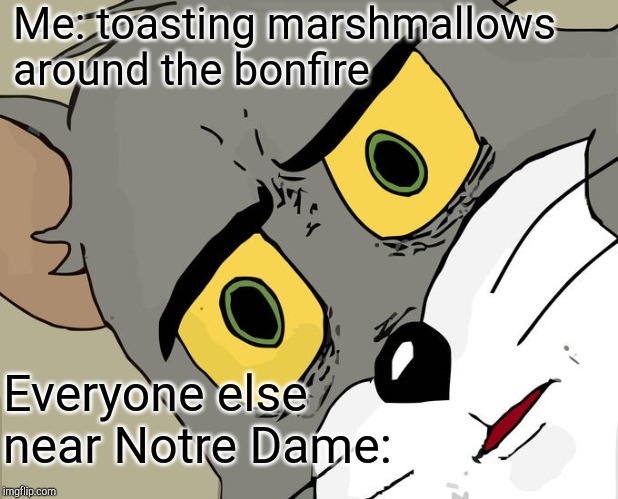 Unsettled Tom |  Me: toasting marshmallows around the bonfire; Everyone else near Notre Dame: | image tagged in memes,unsettled tom,notre dame,jbmemegeek | made w/ Imgflip meme maker