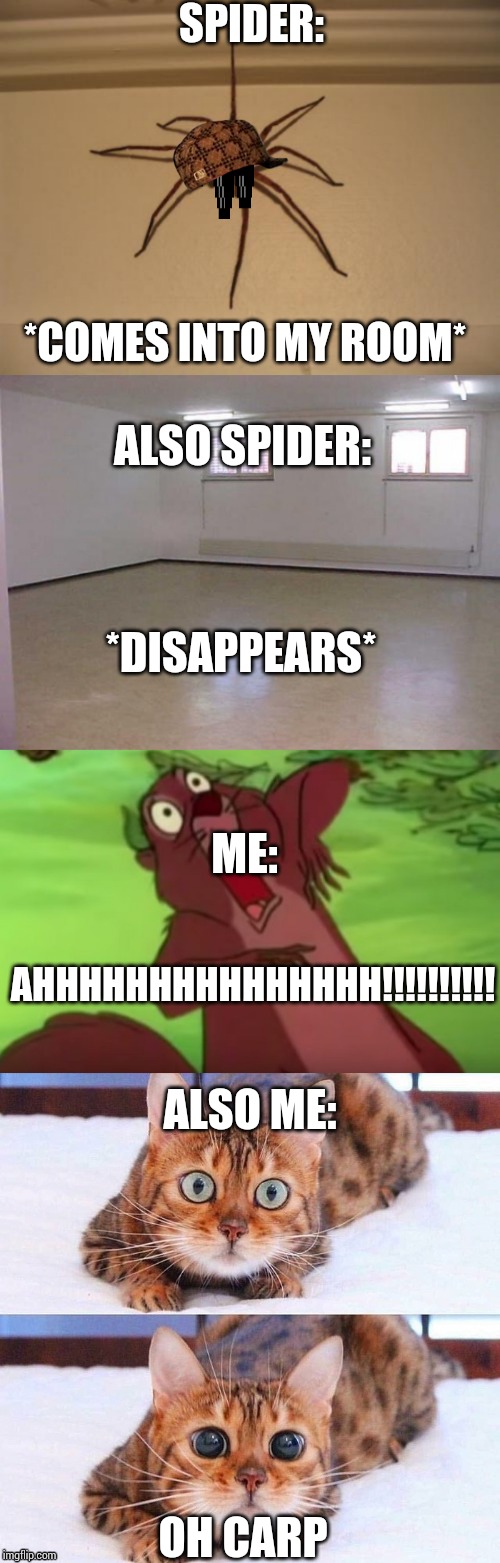 SPIDER:; *COMES INTO MY ROOM*; ALSO SPIDER:; *DISAPPEARS*; ME:; AHHHHHHHHHHHHHHH!!!!!!!!!! ALSO ME:; OH CARP | image tagged in scumbag spider,empty room,ahhhhhh,cat wide-eyes | made w/ Imgflip meme maker