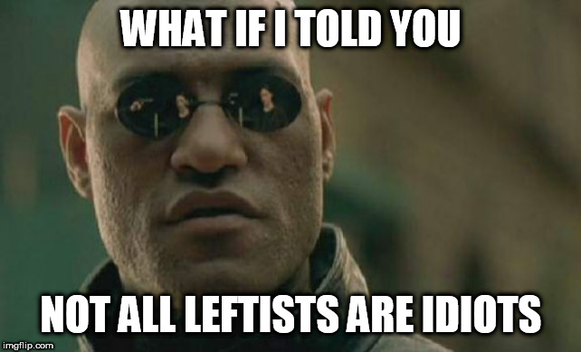 Matrix Morpheus Meme | WHAT IF I TOLD YOU; NOT ALL LEFTISTS ARE IDIOTS | image tagged in memes,matrix morpheus,leftist,leftists,leftism,idiots | made w/ Imgflip meme maker