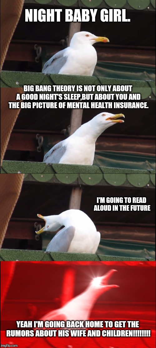 Inhaling Seagull Meme | NIGHT BABY GIRL. BIG BANG THEORY IS NOT ONLY ABOUT A GOOD NIGHT'S SLEEP,BUT ABOUT YOU AND THE BIG PICTURE OF MENTAL HEALTH INSURANCE. I'M GOING TO READ ALOUD IN THE FUTURE; YEAH I'M GOING BACK HOME TO GET THE RUMORS ABOUT HIS WIFE AND CHILDREN!!!!!!!! | image tagged in memes,inhaling seagull | made w/ Imgflip meme maker