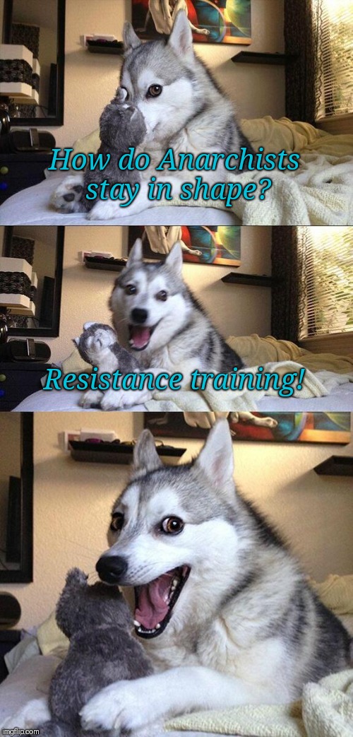 Anarchist Training | How do Anarchists stay in shape? Resistance training! | image tagged in bad pun dog,dad joke dog,dad joke,anarchy,anarchism,anarchist | made w/ Imgflip meme maker