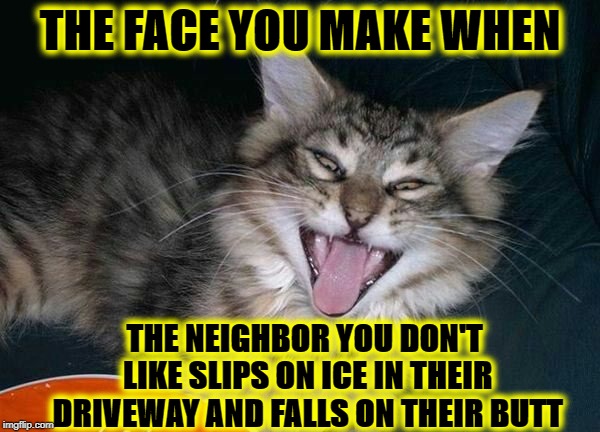 THE FACE YOU MAKE | THE FACE YOU MAKE WHEN; THE NEIGHBOR YOU DON'T LIKE SLIPS ON ICE IN THEIR DRIVEWAY AND FALLS ON THEIR BUTT | image tagged in the face you make | made w/ Imgflip meme maker