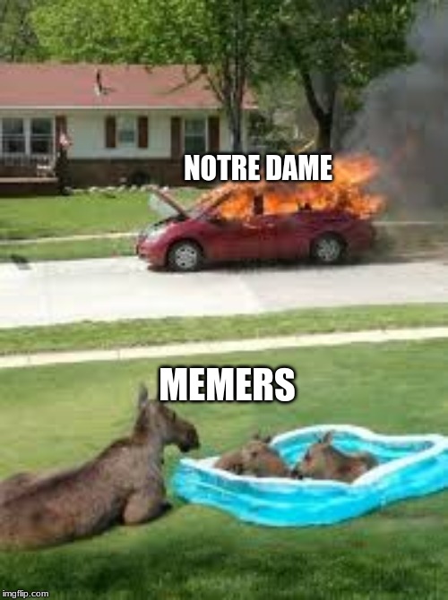 hmmm | NOTRE DAME; MEMERS | image tagged in notra dame fire 2019 | made w/ Imgflip meme maker