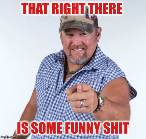 Larry the Cable Guy | THAT RIGHT THERE IS SOME FUNNY SHIT | image tagged in larry the cable guy | made w/ Imgflip meme maker