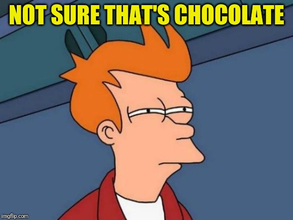 Futurama Fry Meme | NOT SURE THAT'S CHOCOLATE | image tagged in memes,futurama fry | made w/ Imgflip meme maker