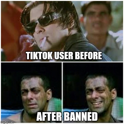 TIKTOK USER BEFORE; AFTER BANNED | image tagged in memes | made w/ Imgflip meme maker